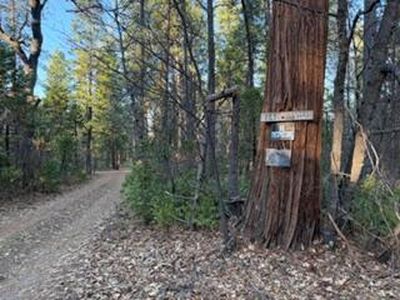 Faye Wildcat Ranch Rd, Whitmore, CA, 96096