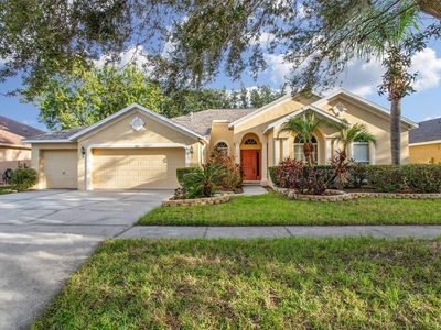 1806 Flat Branch Ct, Valrico, FL, 33594