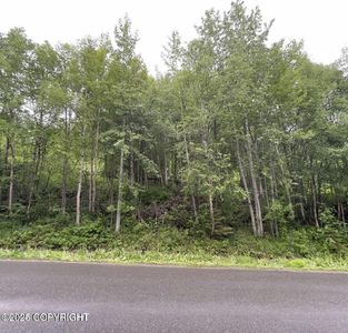 L-12 White Spruce Dr, Eagle River, AK, 99577