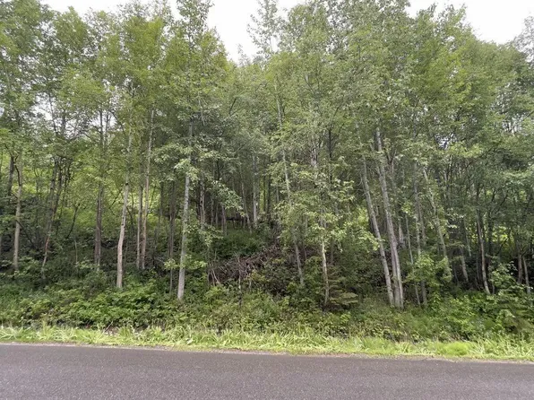 L-12 White Spruce Dr, Eagle River, AK 99577