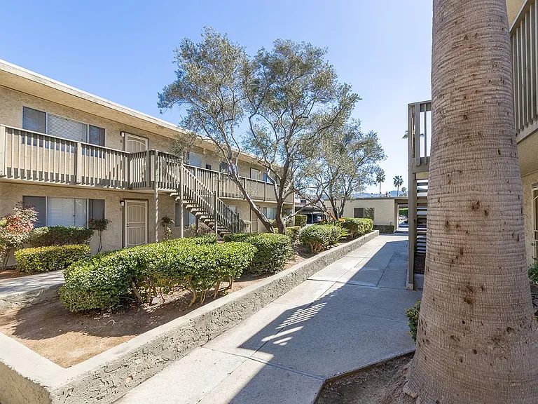 Olive Tree Manor — Photo 18