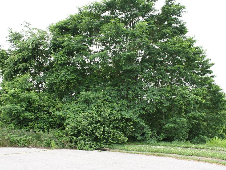 2nd image of 2021 Pleasant Point Ct