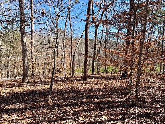 4th image of LOT 10 Ravenwood Dr