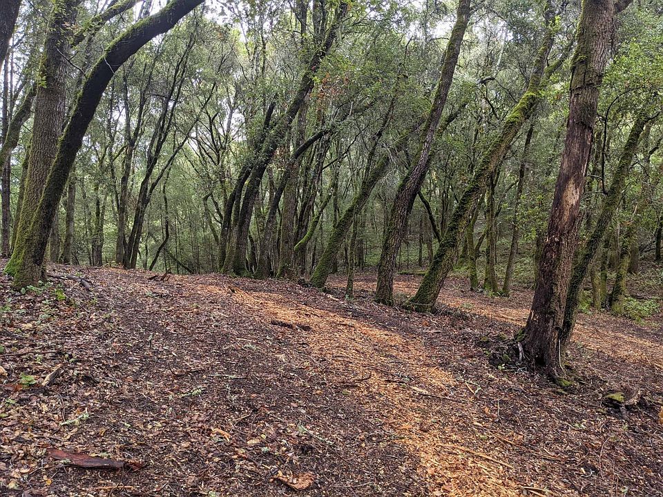 2nd image of 0 Alpine Rd
