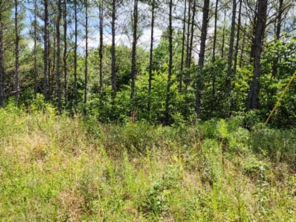 3rd image of 674 Rhodas Way Lot 21