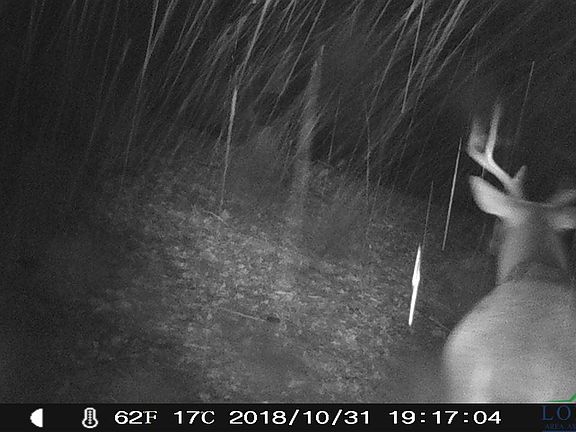 5th image of Tbd Cr 3198