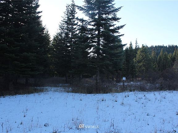 3rd image of 40 Blue Flame Ln