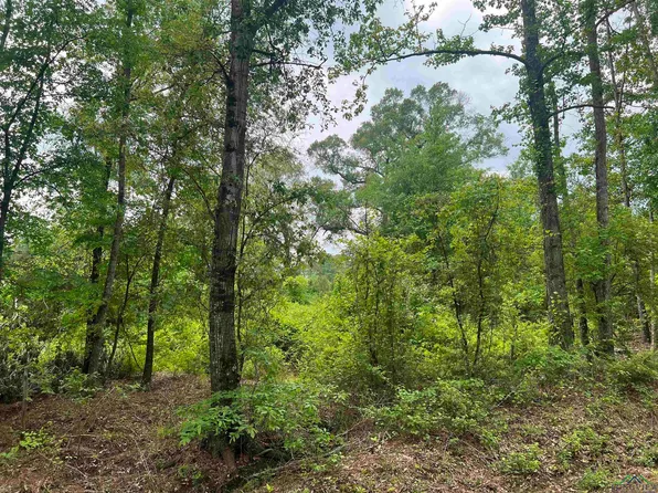 476 Cr, Henderson, TX 75654