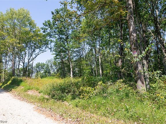 4th image of 1 County Road 269