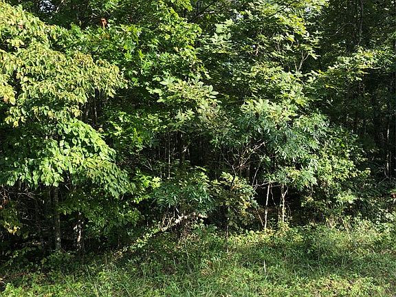 4th image of 39 Iuka Ln