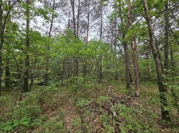 Lot 1 16th Avenue #1, Necedah, WI 54646