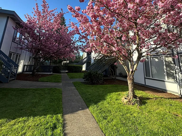 Capri Apartments — Photo 13