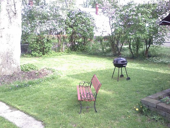 Backyard - Big!
