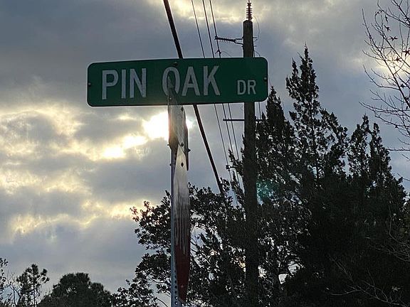 4th image of 63 Pin Oak Dr