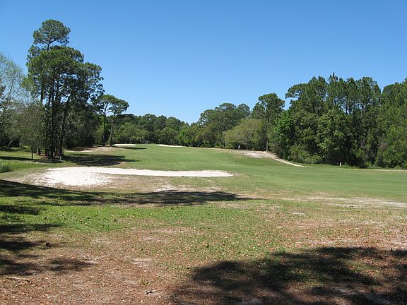 view from back yard