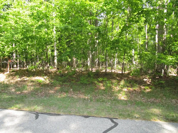 11190 Hassler Woods Trl, Alanson, MI 49706
