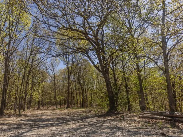 27064 Hickory Tree Ln, Lincoln, MO 65338