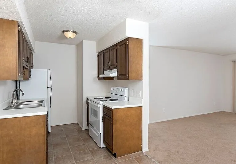 Kitchen/Living Area