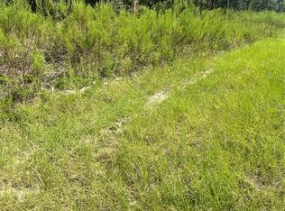 NW Sparrow Rd LOT 39, Dunnellon, FL 34431
