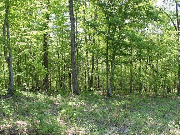 5th image of LOT-131C Cumberland Xing
