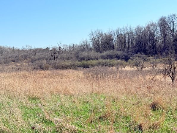 Big Stone Lake Rd, Evart, MI 49631