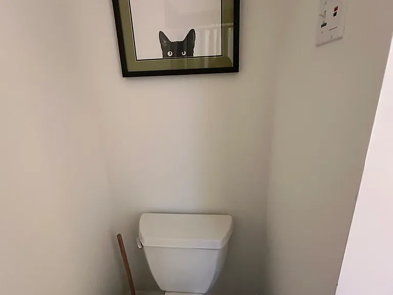 Faye Dr — Photo 14