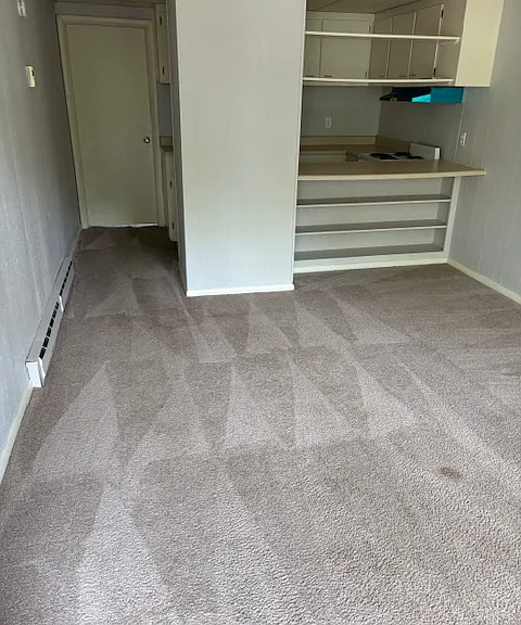 1101 S Mattis Ave #2 — Photo 4