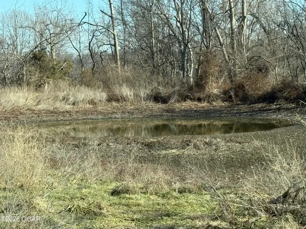 25073 Poppy Dr Tract 1, Stark City, MO 64866