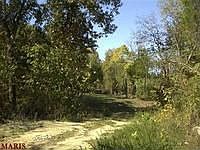 1st image of 7 Fox Creek Ln
