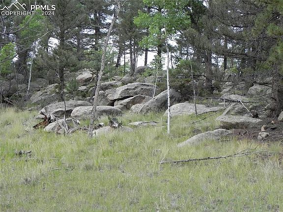 5th image of 631 Gold Creek Dr