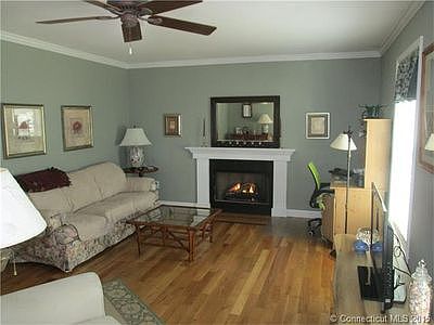 Living room with gas log FP