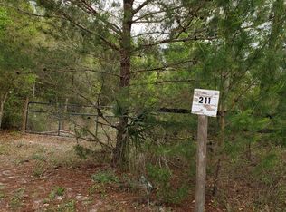 211 Sandy Ln, Crescent City, FL 32112