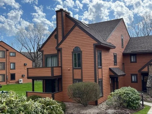 4802 Swiss Mountain Dr, Champion, PA 15622