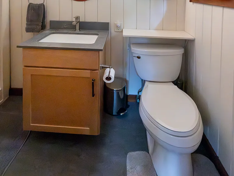Forest room bathroom