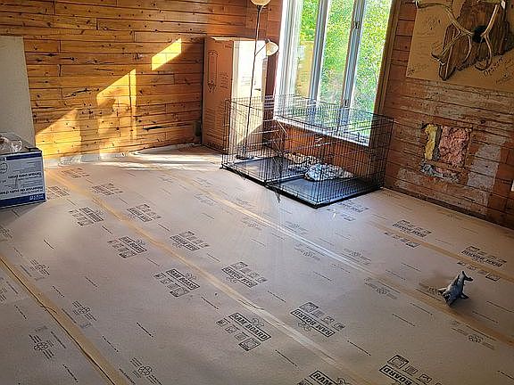 Livingroom Antlers are gone