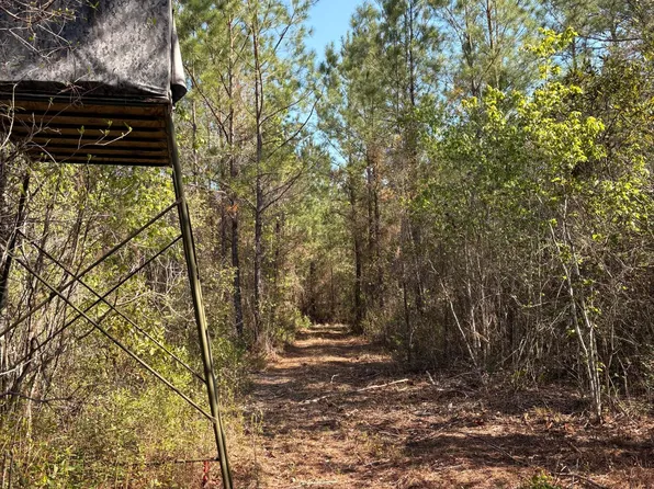 O LAZY PINES Road, Glen St. Mary, FL 32040