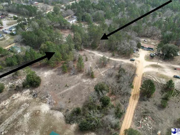 Mattie Dr, Dillon, SC 29536