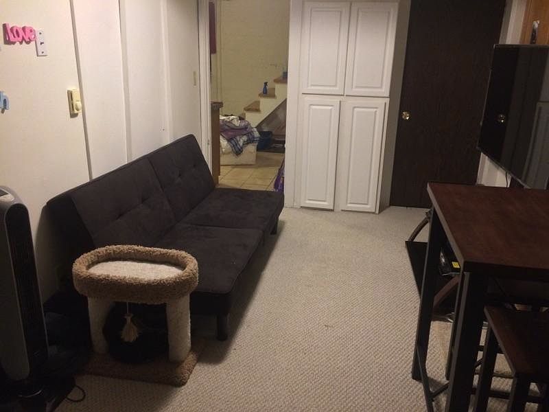 Living Room downstairs in basement
