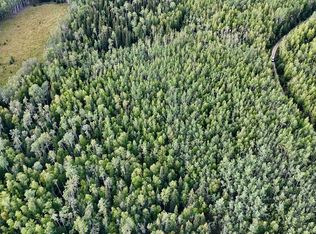 L39 Cathy Ln, Delta Junction, AK 99737
