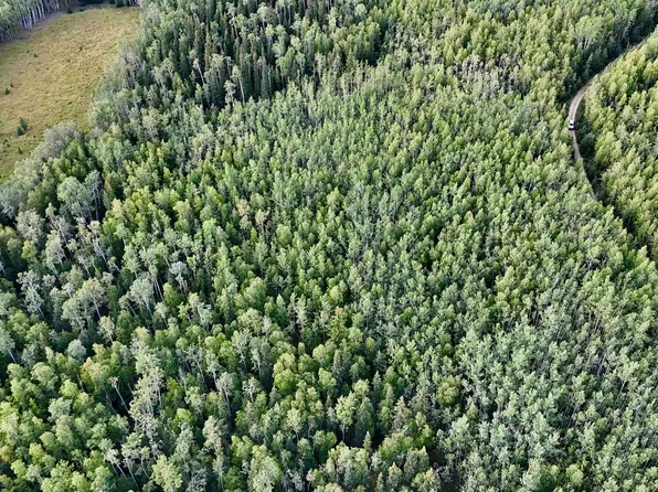 L39 Cathy Ln, Delta Junction, AK 99737