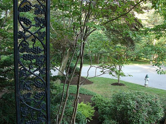 View from front door towards Town Park.