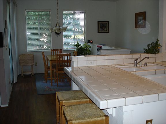 View From Kitchen