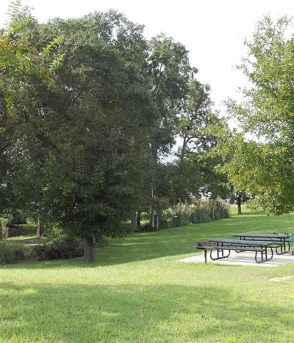 Peachwood Place Apartments — Photo 4