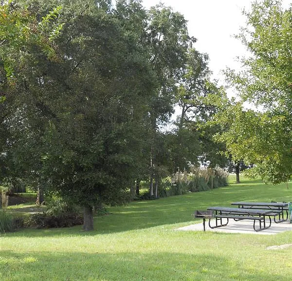 Peachwood Place Apartments — Photo 4