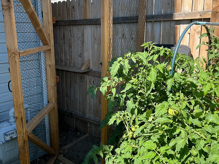 Catio