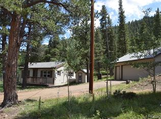 146 Renaud Rd, Bailey, CO 80421