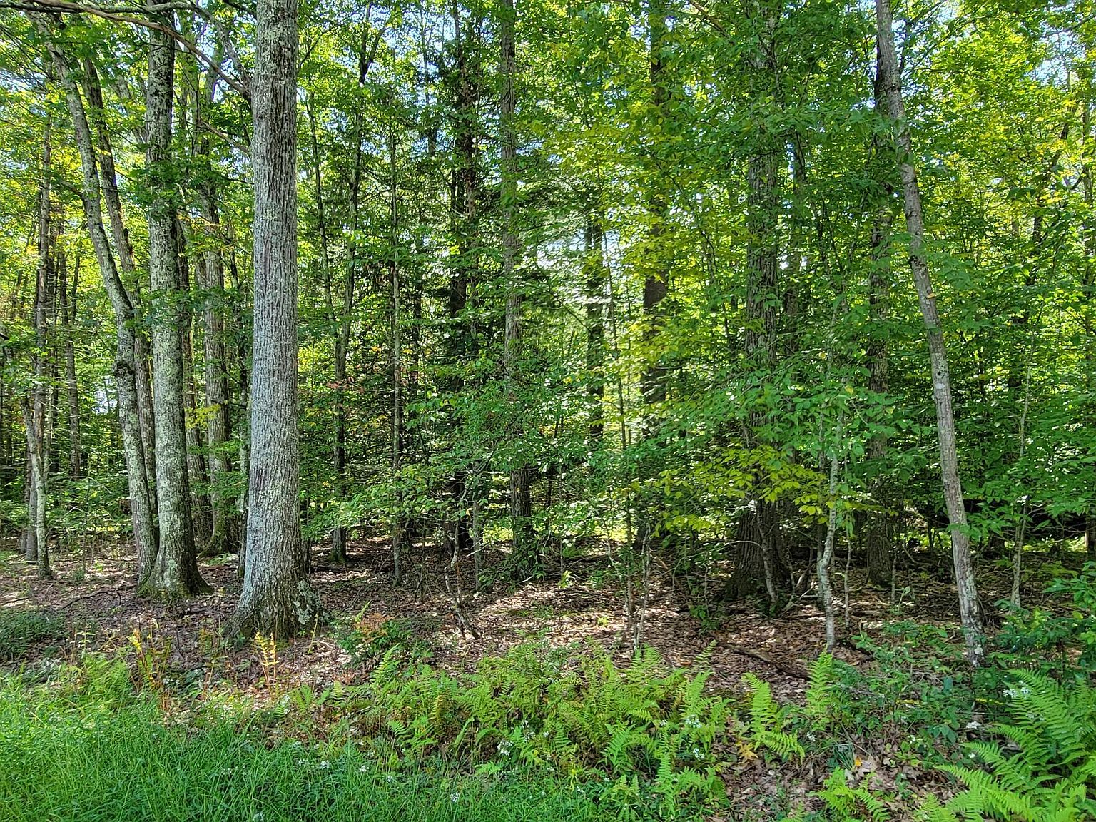 21 Mohn Rd, Narrowsburg, NY 12764 MLS PW233024 Zillow