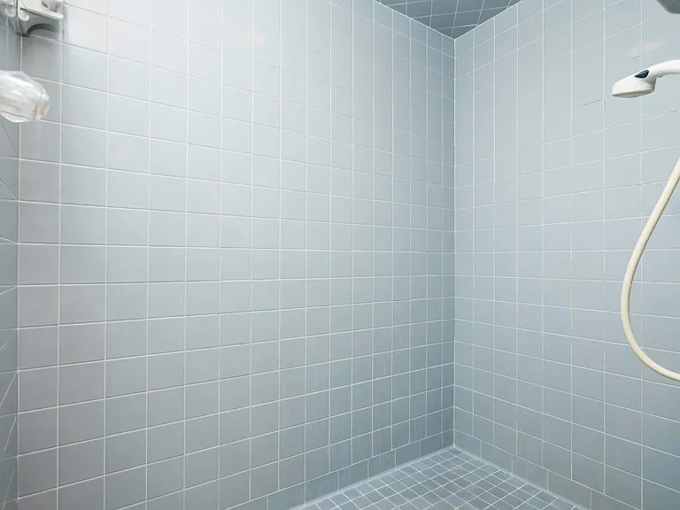 Master Bath shower