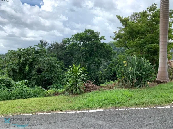 0 Highway 106 Bo Quemado Finca De Cuerda #Km-4-1.4, Mayaguez, PR 00680