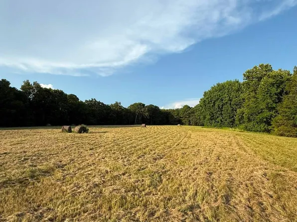 2962 Low Gap Rd, Ozark, AR 72949